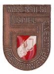 Feuerwehrjugend Wissenstestspiel Bronze